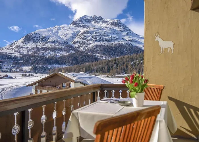 Appartement Chesa La Sajetta 12 By Interhome