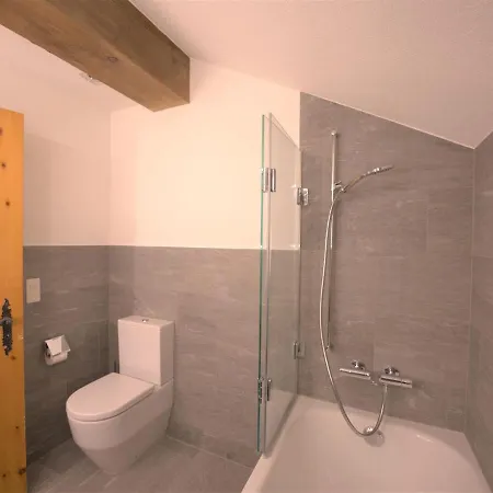Appartamento Chesa La Sajetta 12 By Interhome